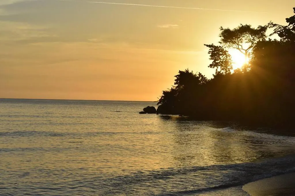 Irie Vibes By The Beach Νεγκρίλ 0*,  Τζαμάικα
