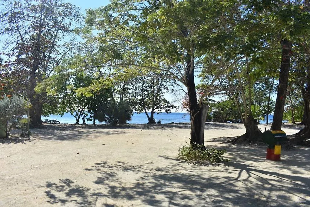 Irie Vibes By The Beach Νεγκρίλ