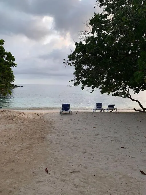 Irie Vibes By The Beach Negril