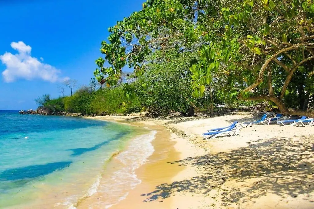 Apartment Irie Vibes By The Beach Negril